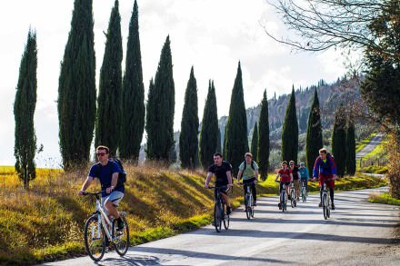 Florence by bike, Bike rental