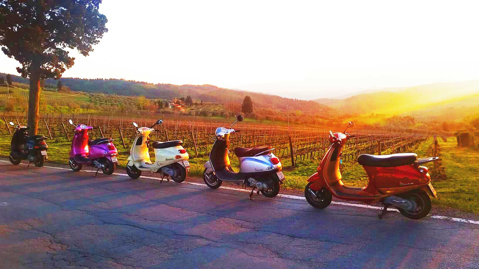 tuscany vespa cycle and bike tour