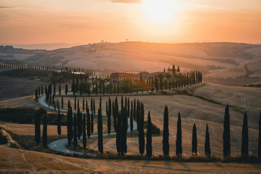 Tuscan road with trees